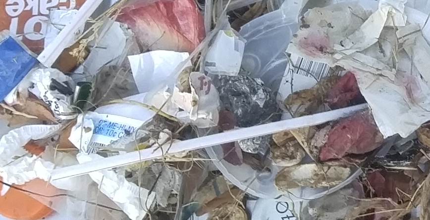 one_bag_of_trash_closeup1