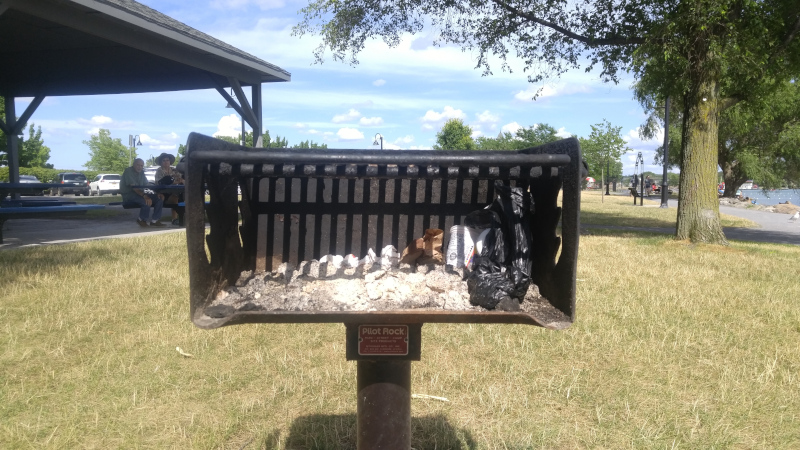 trash_in_grill